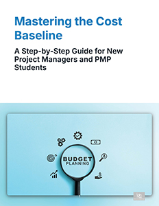 Mastering the Cost Baseline